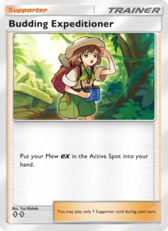 Budding Expeditioner – Carta Pokémon TCG