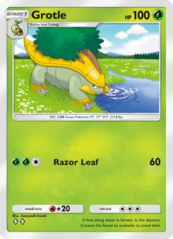 Grotle – Carta Pokémon TCG