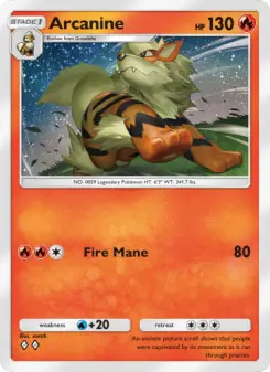 Arcanine – Carta Pokémon TCG