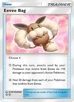 Eevee Bag – Carta Pokémon TCG
