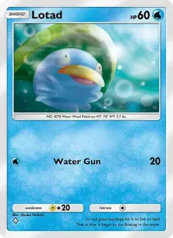 Lotad – Carta Pokémon TCG