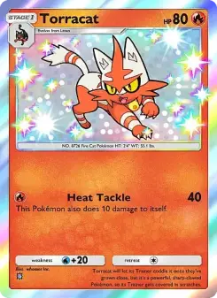 Torracat – Carta Pokémon TCG