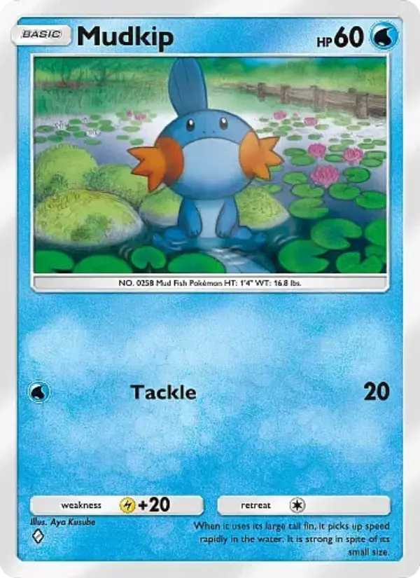 Mudkip – Pokémon TCG