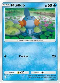 Mudkip – Carta Pokémon TCG