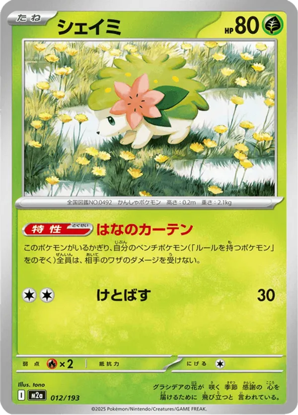 Shaymin – Carta Pokémon TCG