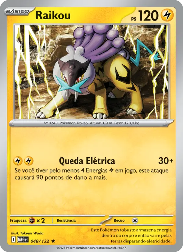 Raikou – Pokémon TCG
