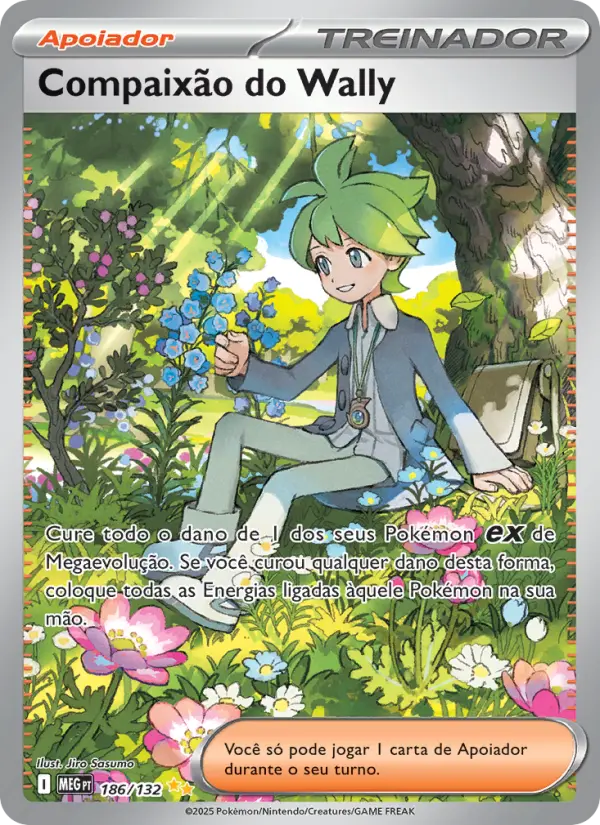 Compaixão do Wally – Pokémon TCG