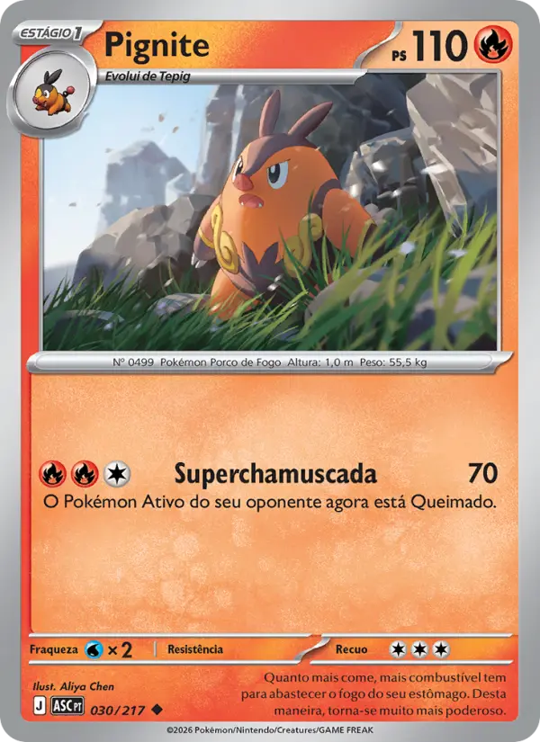 Pignite – Pokémon TCG