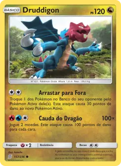 Druddigon – Carta Pokémon TCG