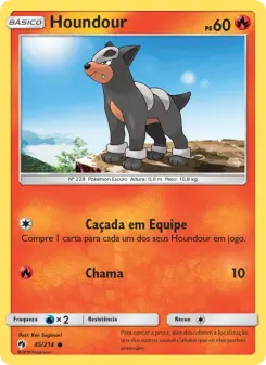 Houndour – Carta Pokémon TCG