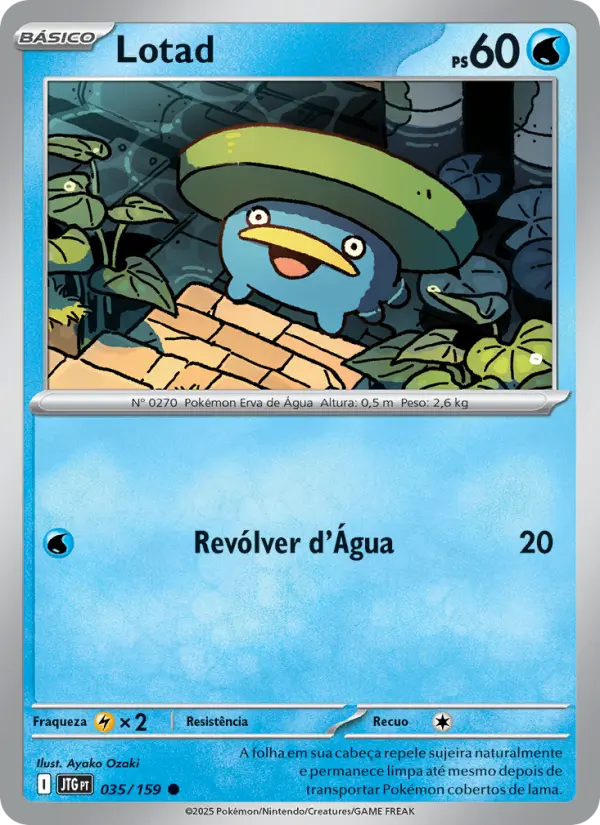 Lotad – Pokémon TCG