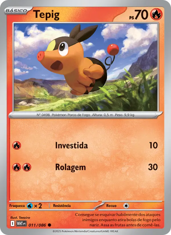 Tepig – Pokémon TCG
