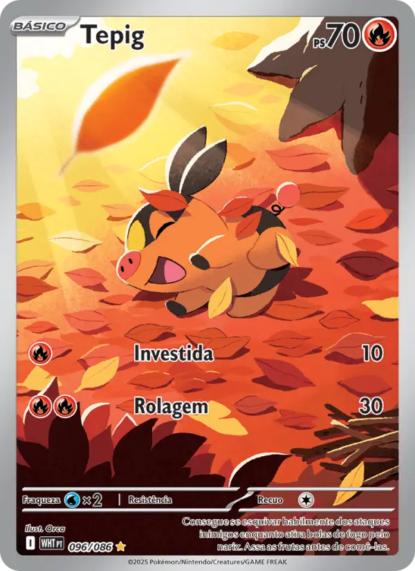 Tepig – Pokémon TCG