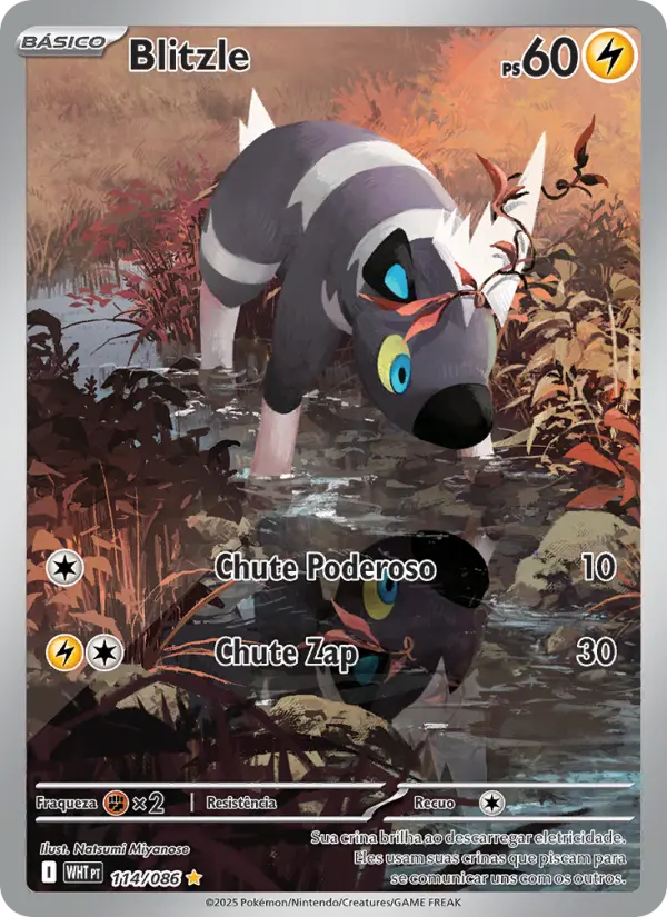 Blitzle – Pokémon TCG