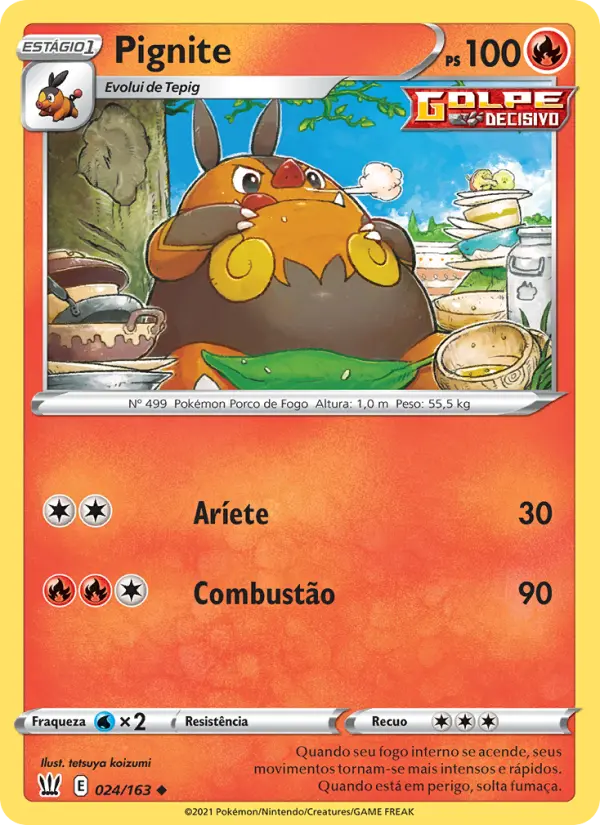 Pignite – Pokémon TCG